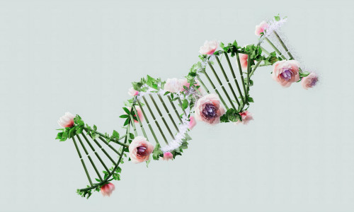 KAKSIKLEEKIDE TÄHTKUJU HOROSKOOP - AUGUST 2024 KAKSIKLEEKIDE TÄHTKUJU HOROSKOOP - AUGUST 2024