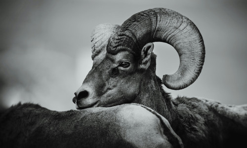 MILLINE ON JÄÄRA TÄHTKUJU?