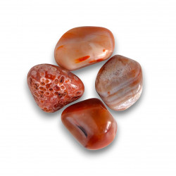 PUNANE SARDOONÜKS poleeritud 