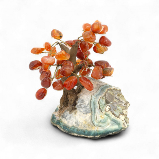 Karneool bonsai puu Ametüst geoodil – elujõu ja külluse kristall