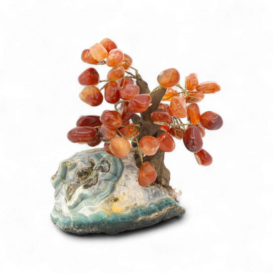 Karneool bonsai puu Ametüst geoodil – elujõu ja külluse kristall