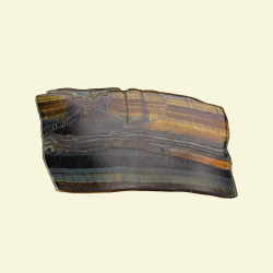 TIIGRISILM-KULLISILM viil