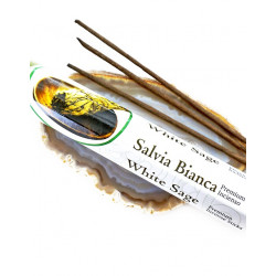 SALVEI viiruk (ca 20 tk pakis) aromatika SALVEI viiruk (ca 20 tk pakis) aromatika