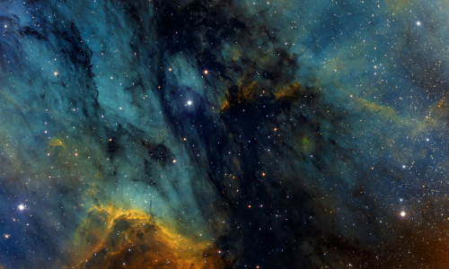 19.-31. JAANUARI HOROSKOOP - KÜMMNEKS AASTAKS ALGAB SINU ELUS UUS ETAPP