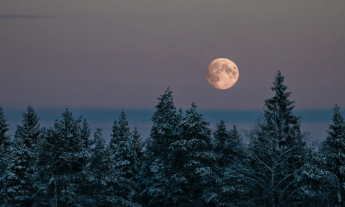 VEEBRUARI ESIMESE POOLE HOROSKOOP