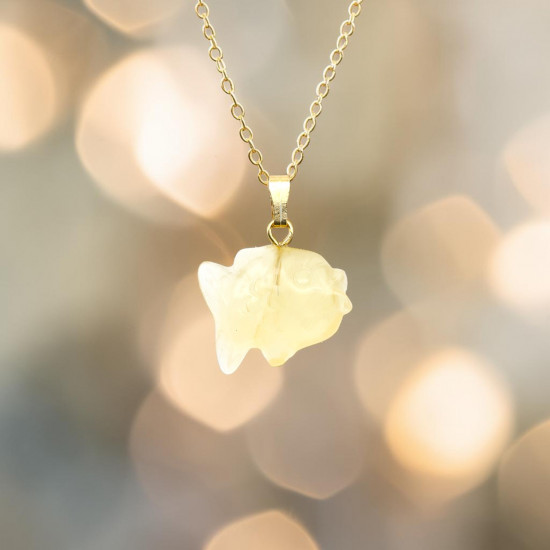 tsitriini talisman külluse ja rahaenergia jaoks