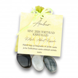 LA TENE kristallikomplekt AMBUR "SINU 2026. AASTA TOETAVAD KRISTALLID"