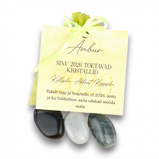 Amburi tähtkuju kristallid Tulihobuse aastaks - armastus, edu ja energia