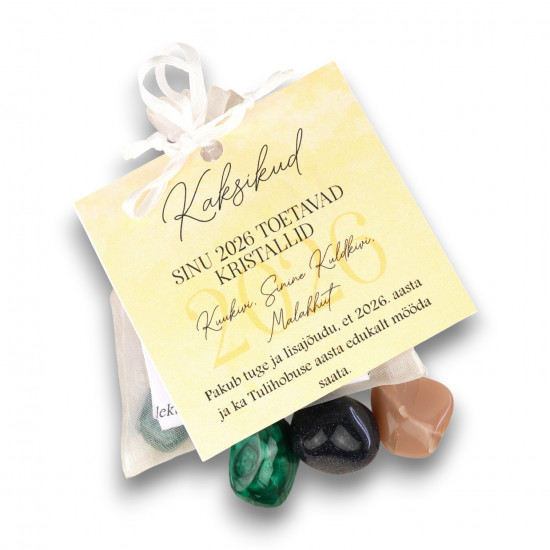 Kaksikud tähtkuju kristallid Tulihobuse aastaks - armastus, edu ja energia