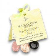 LA TENE kristallikomplekt LÕVI "SINU 2026. AASTA TOETAVAD KRISTALLID"