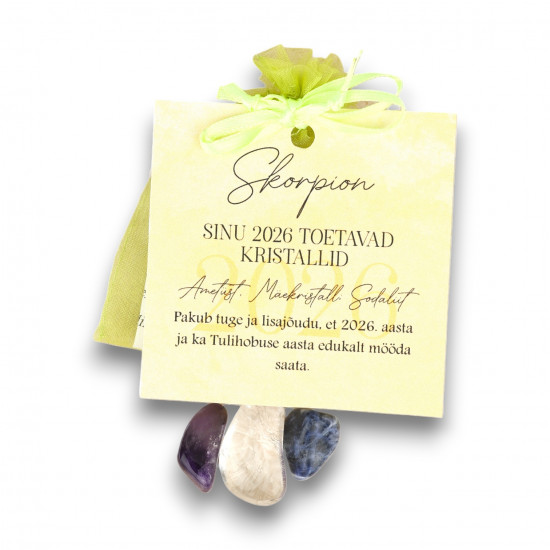 Кристаллы для Скорпиона на Год Огненной Лошади – любовь, успех и энергия