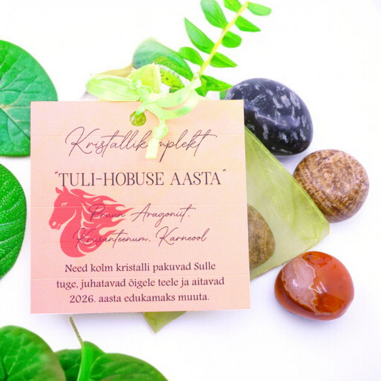 LA TENE 2026 kristallikomplekt Tuli-hobuse aasta - Pruun Aragonii, Krüsanteenum, Karneool