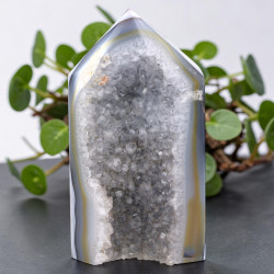 AHHAAT DRUZY tipp 