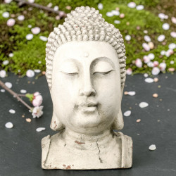 BUDDHA pea