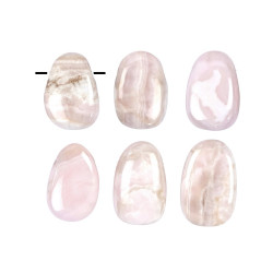 MANGO KALTSIIT auguga MANGO KALTSIIT auguga