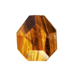 TIIGRISILM auguga tahutud