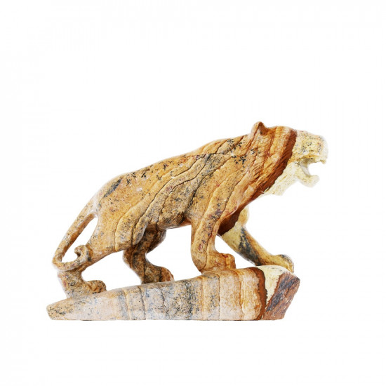 PICTURE JASPER tiger CRYSTALS PICTURE JASPER tiger CRYSTALS