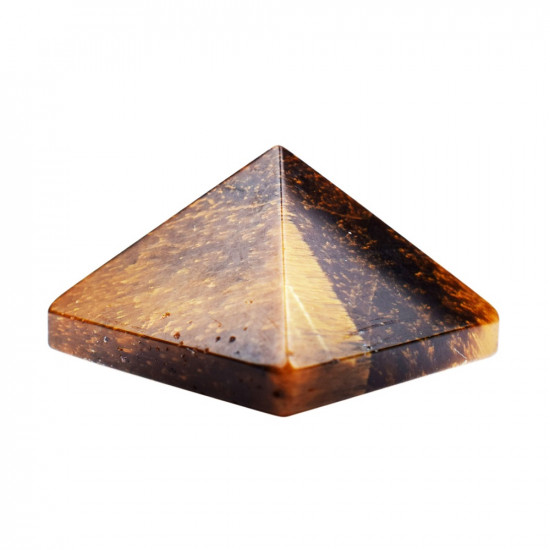 TIIGRISILM püramiid VÄEESEMED