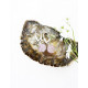 La Tene earrings "ROSE QUARTZ" LA TENE SIGNATURE BRAND La Tene earrings "ROSE QUARTZ" LA TENE SIGNATURE BRAND