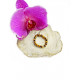 La Tene ring "TIGER'S EYE" La Tene ring "TIGER'S EYE"