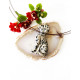 DALMATIAN JASPER with a hole dog DALMATIAN JASPER with a hole dog