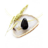 GAGAAT auguga GAGAAT auguga