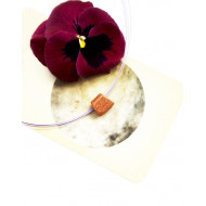 GOLDRIVER auguga trapets GOLDRIVER auguga trapets