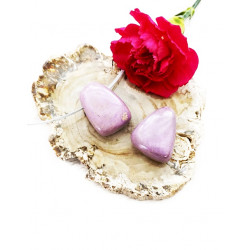 PHOSPOSIDERIIT auguga