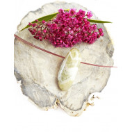 PRASIOLIIT auguga PRASIOLIIT auguga