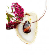 PUNANE TIIGRISILM auguga