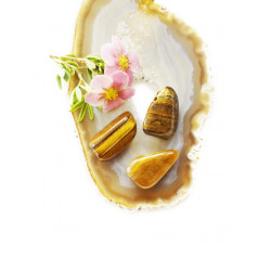 TIIGRISILM auguga erikujuline (väike) TIIGRISILM auguga erikujuline (väike)