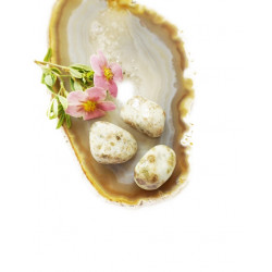 WOLLASTONIIT auguga WOLLASTONIIT auguga