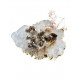 SMOKY QUARTZ geode CRYSTALS SMOKY QUARTZ geode CRYSTALS