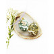OCEAN JASPER pendant (big ring) (silver 925) JEWELRY OCEAN JASPER pendant (big ring) (silver 925) JEWELRY