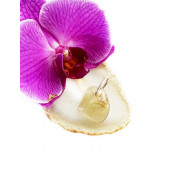 RUTIILNÕELTEGA KVARTS ripats suure aasaga (hõbe 925)