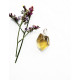 CITRINE pendant different shaped (silver 925) CITRINE pendant different shaped (silver 925)