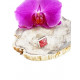 RHODOCHROSITE ring square (silver 925) RHODOCHROSITE ring square (silver 925)
