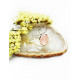 ROSE QUARTZ ring (silver 925) JEWELRY ROSE QUARTZ ring (silver 925) JEWELRY