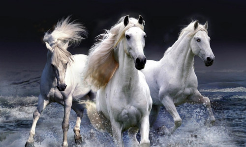 HORSE - SOUL TOTEM HORSE - SOUL TOTEM