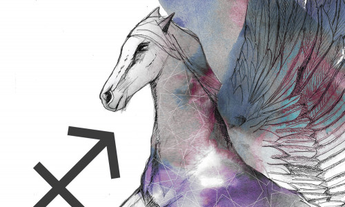 AMBUR 22. NOVEMBER - 21. DETSEMBER