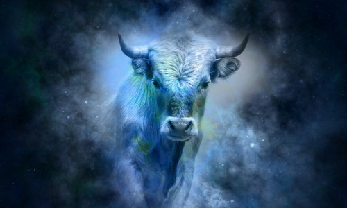 PÜHVEL - HIINA ASTROLOOGIA