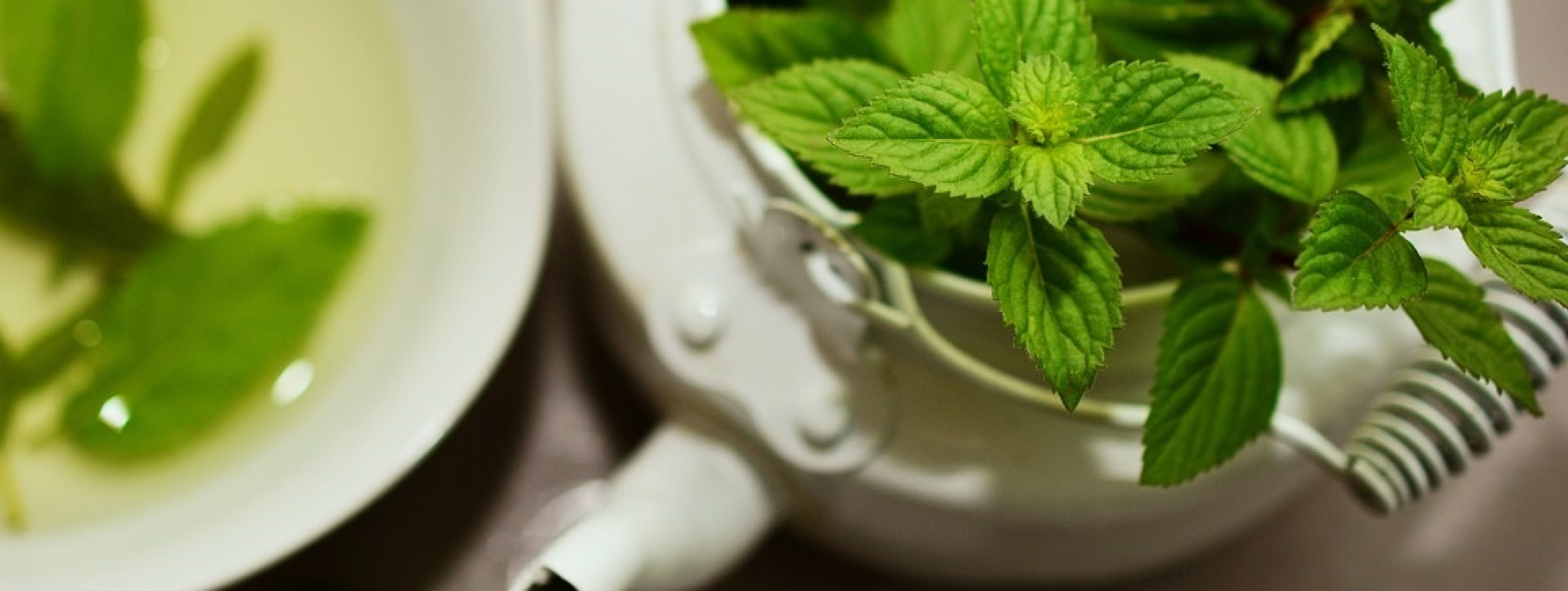 Можно ли пить мяту при давлении. Herbal перечная мята. мята перечная фармакогнозия. комнатная мята можно ли добавлять в чай. может ли быть аллергия на мяту в чае у взрослого.