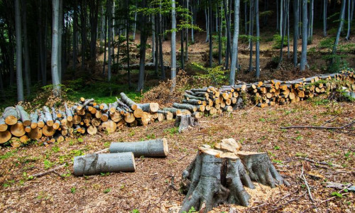 LAGERAIE - UNENÄGUDE SELETAJA