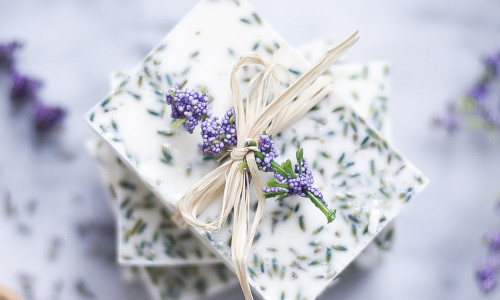 SEEP - UNENÄGUDE SELETAJA