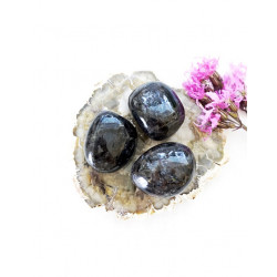 ANTOFÜLLIIT poleeritud ANTOFÜLLIIT poleeritud