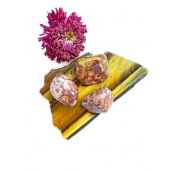 LINNUSILM poleeritud LINNUSILM poleeritud