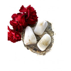 SKOLESSIIT poleeritud