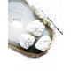 WHITE HOWLITE rough (round) CRYSTALS WHITE HOWLITE rough (round) CRYSTALS