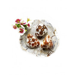 WOLLASTONIIT poleeritud WOLLASTONIIT poleeritud