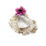 GIRASOL süda GIRASOL süda